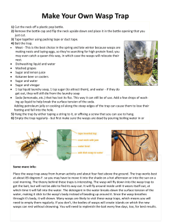 Make Your Own Wasp Trap - District of West Kelowna