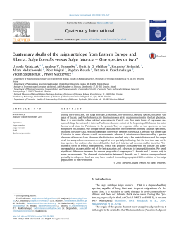 Quaternary skulls of the saiga antelope from Eastern Europe and