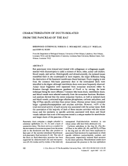 characterization of ducts isolated from the pancreas