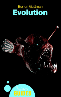 Evolution : a Beginner`s Guide