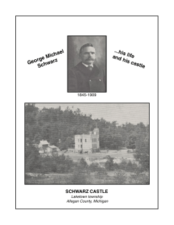 schwarz castle - Fan Carver`s World