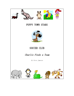 Puppy Town Stars - Little Kritters Soccer Academy