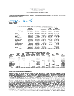 2013 Treasurer`s Report