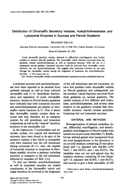 Distribution of chromaffin secretory vesicles, acetylcholinesterase