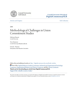 Methodological Challenges in Union Commitment Studies
