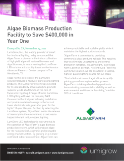 Algae Biomass Production Facility to Save $400,000 in Year One