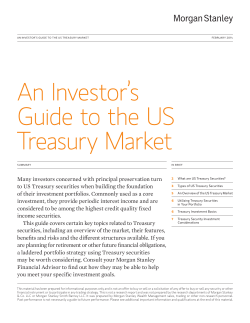 An Investor`s Guide to the US Treasury Market