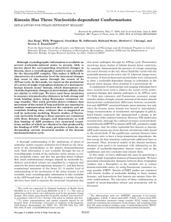 Kinesin Has Three Nucleotide