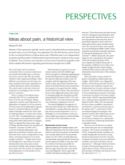 E. Perl (2006) - Ideas about pain, a historical view
