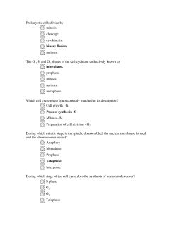 Prokaryotic cells divide by mitosis. cleavage. cytokinesis. binary