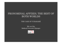 pronominal affixes, the best of both worlds