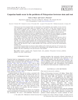 Casparian bands occur in the periderm of