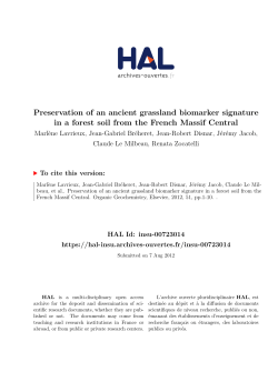 Preservation of an ancient grassland biomarker signature in a forest