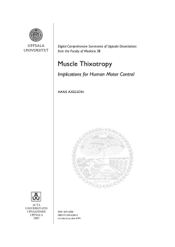 Muscle Thixotropy