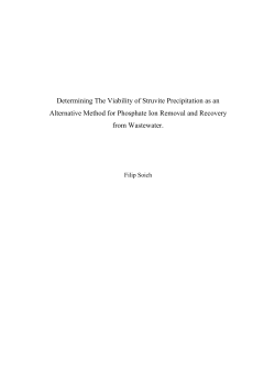 Extended Essay Final P1
