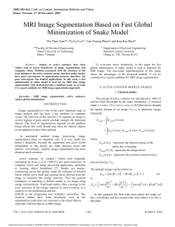 MRI Image Segmentation Based on Fast Global