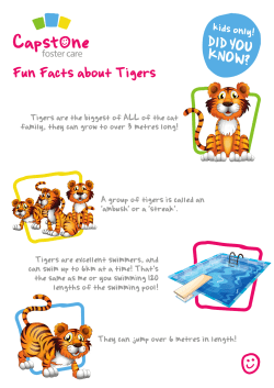 Fun Facts about Tigers