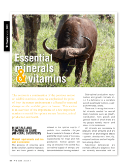 essential minerals vitamins