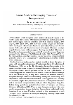 Amino Acids in Developing Tissues of Xenopus laevis
