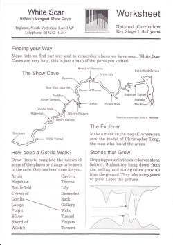 downloaded - White Scar Cave