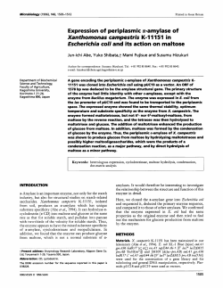 Expression of periplasmic alamylase of Xanthomonas