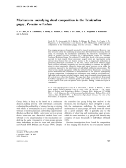 Mechanisms underlying shoal composition in the Trinidadian guppy