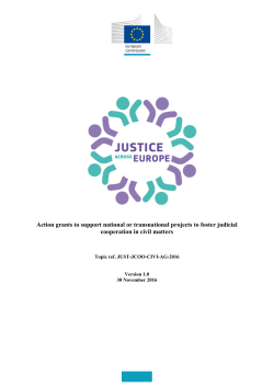 Action grants to support national or transnational