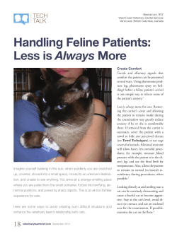 Handling Feline Patients: Less is Always More