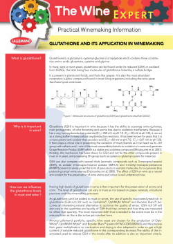 The Importance of Glutathione in Winemaking
