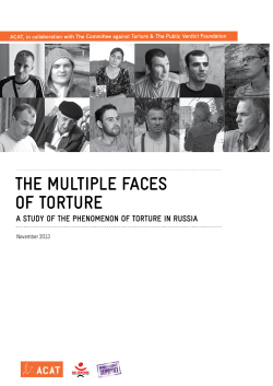 the multiple faces of torture