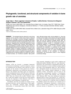 Phylogenetic, functional, and structural components of variation in