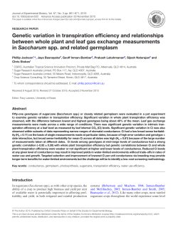 Genetic variation in transpiration efficiency and