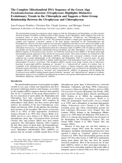 The Complete Mitochondrial DNA Sequence of the Green Alga