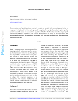 Evolutionary role of the nucleus