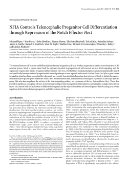 NFIA Controls Telencephalic Progenitor Cell Differentiation through