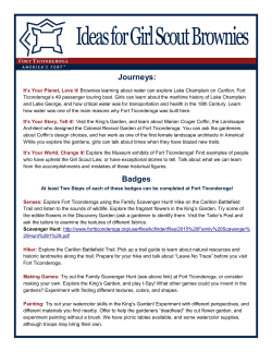 Ideas for Girl Scout Brownies