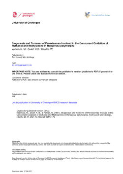 Biogenesis and Turnover of Peroxisomes Involved in the