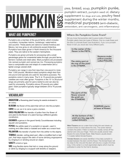 What are Pumpkins? - Illinois Ag in the Classroom