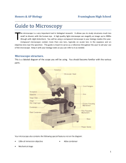 Microscopy Guide - LangdonBiology.org