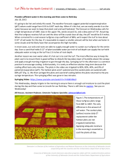 Provide sufficient water in the morning and then come to