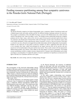 Feeding resource partitioning among four sympatric carnivores in
