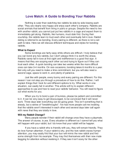 Love Match: A Guide to Bonding Your Rabbits