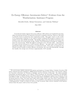 Do Energy Efficiency Investments Deliver?