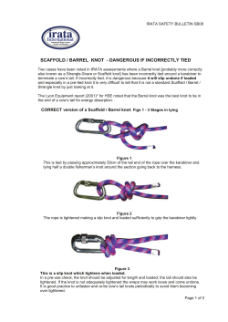 scaffold / barrel knot