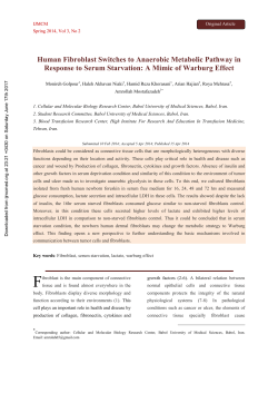 Human Fibroblast Switches to Anaerobic Metabolic Pathway in