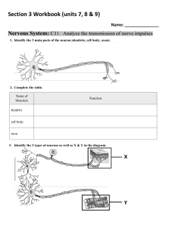 modified bi 12 workbook