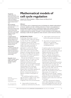 Mathematical models of cell cycle regulation