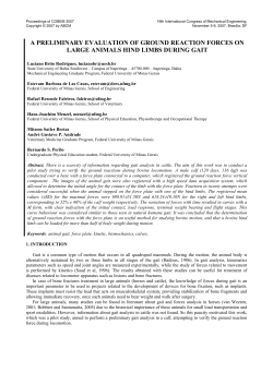 a preliminary evaluation of ground reaction forces on large