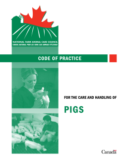Pig Code of Practice - National Farm Animal Care Council