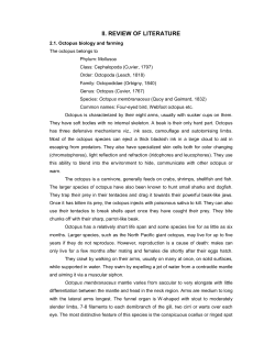 ii. review of literature